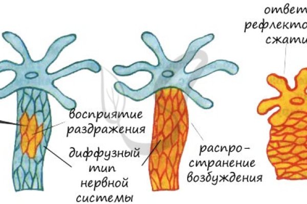 Блэк спрут или кракен