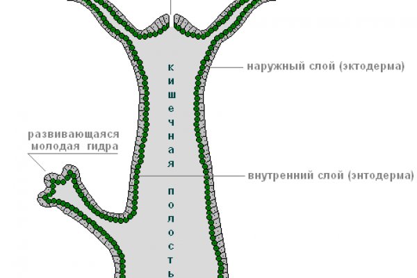 Блэкспрут даркнет