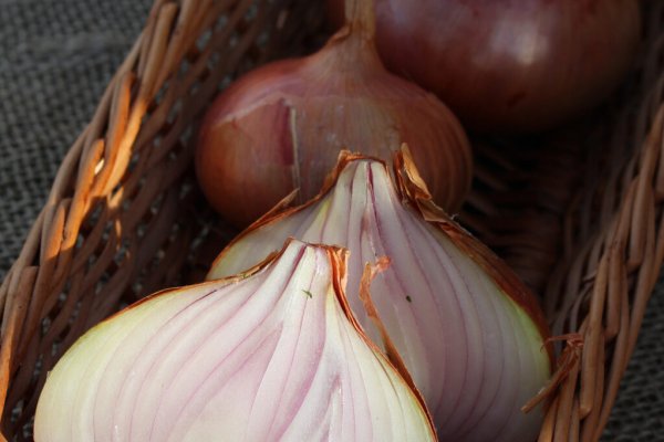 Спрут сайт тор bs onion info